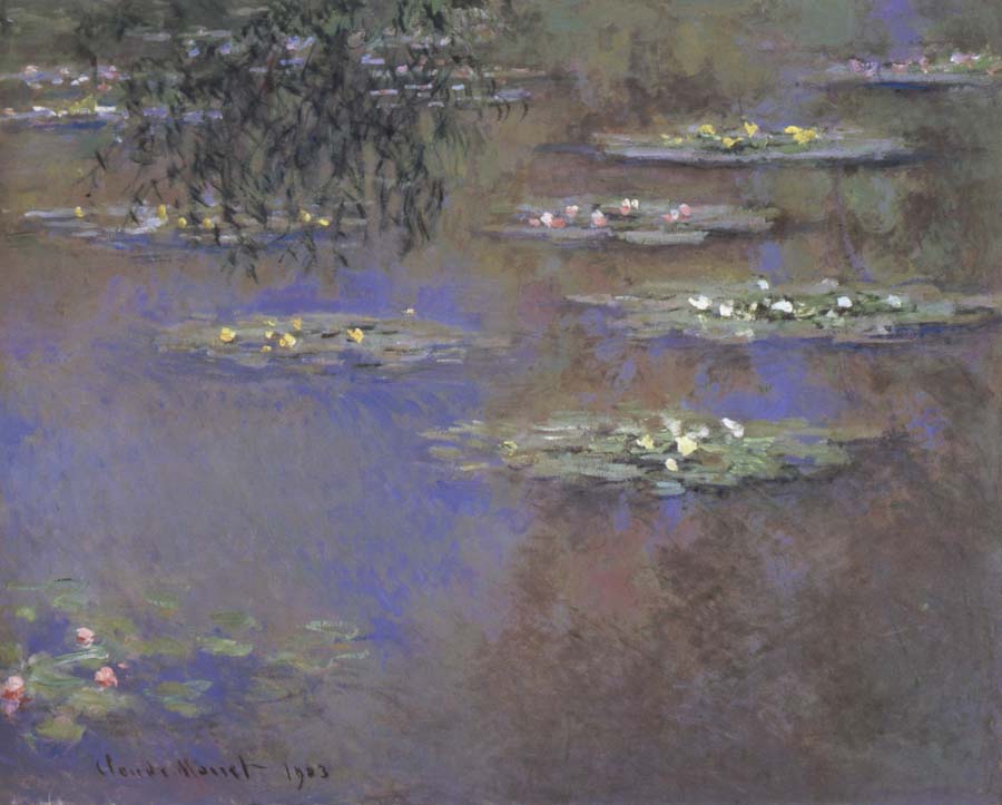 Water Lilies